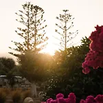 Cyclades - Semi Based With Indoor Garden - Part Of White Dunes Luxury Boutique Frühstückspension
