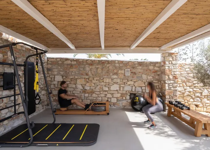 Cyclades - Semi Based With Indoor Garden - Part Of White Dunes Luxury Boutique Couette-café Santa Maria (Paros)