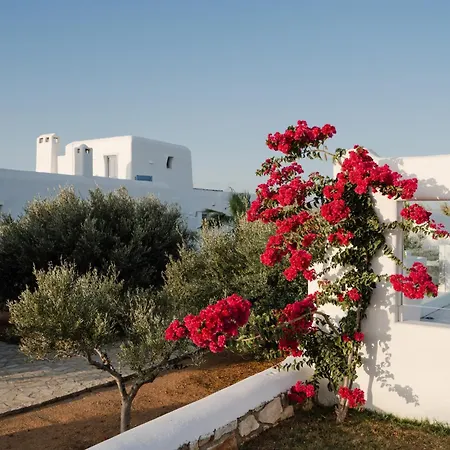 Cyclades - Semi Based With Indoor Garden - Part Of White Dunes Luxury Boutique Santa Maria (Paros)