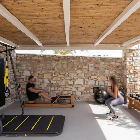 Cyclades - Semi Based With Indoor Garden - Part Of White Dunes Luxury Boutique Couette-café Santa Maria (Paros)