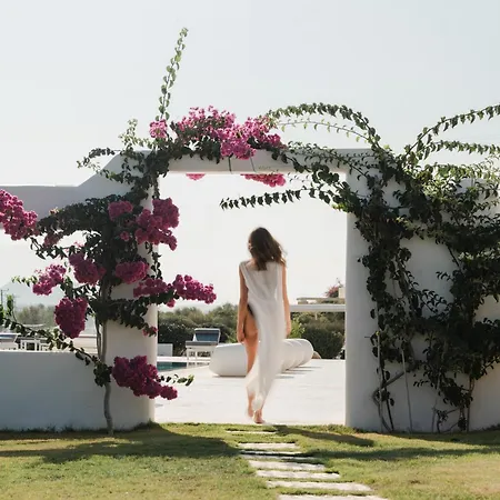 Cyclades - Semi Based With Indoor Garden - Part Of White Dunes Luxury Boutique 4* Santa Maria (Paros)